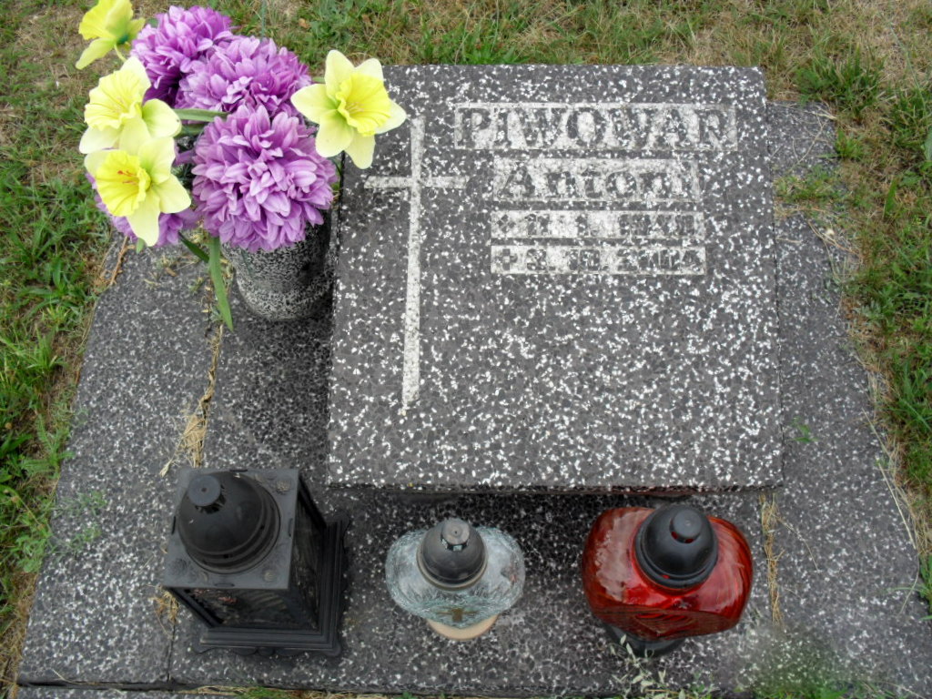 Grób Antoni Piwowar